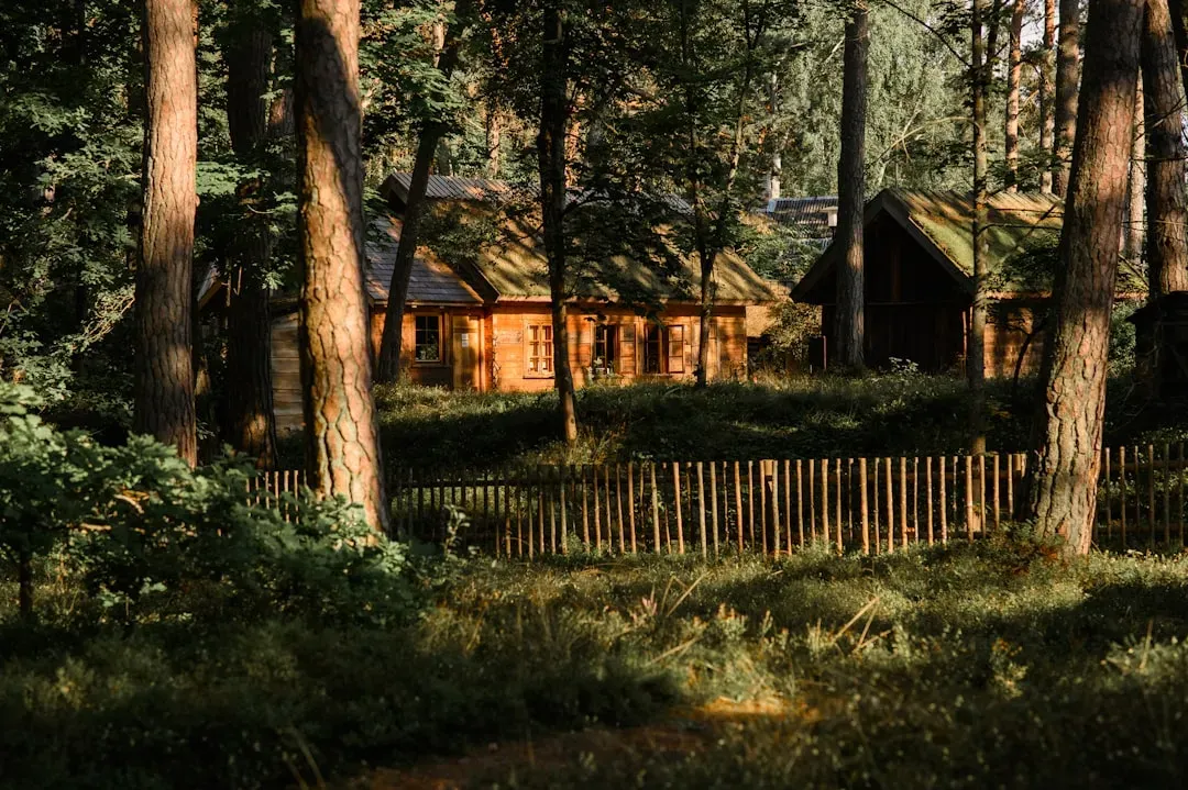 4. Uncle Tom's Cabin by Harriet Beecher Stowe (1852) (Image Credits: Unsplash)