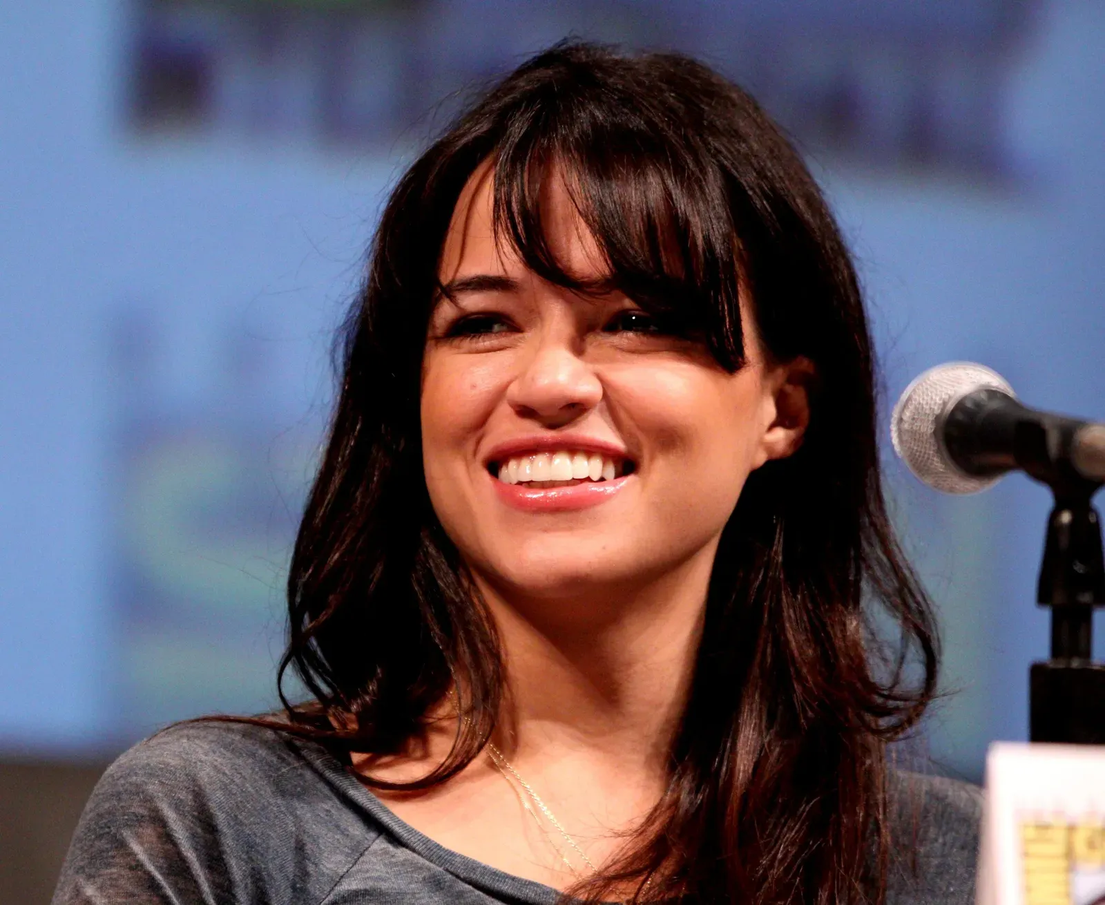 Michelle Rodriguez in "Girlfight" (2000) (Image Credits: Wikimedia)