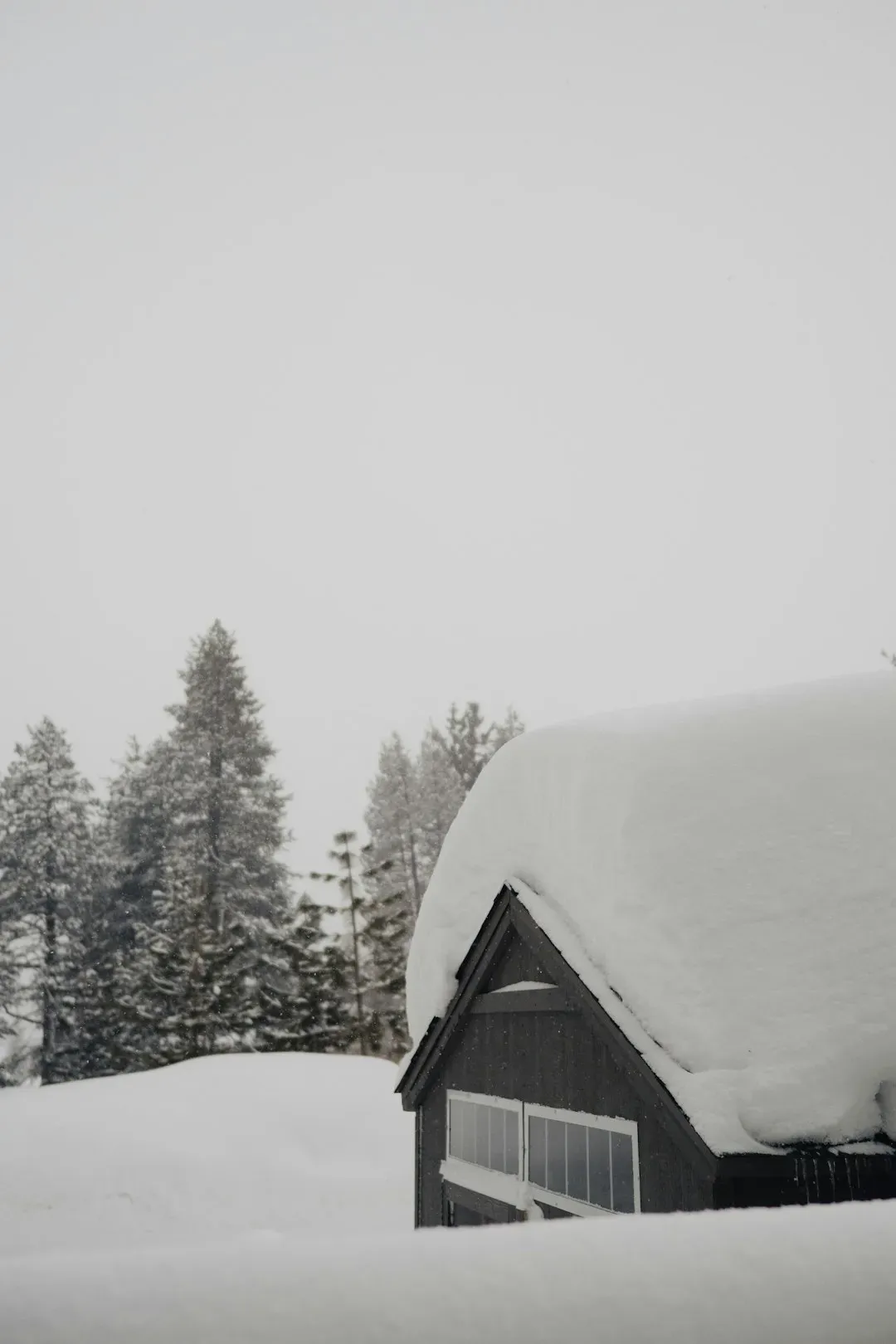 When Flurries Became a Nightmare: California's 2023 Wake-Up Call (Image Credits: Unsplash)
