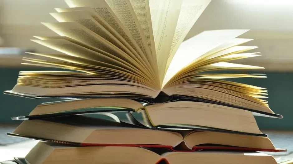 The Hardy Boys: A Century of Teen Detectives (Image Credits: Pexels)