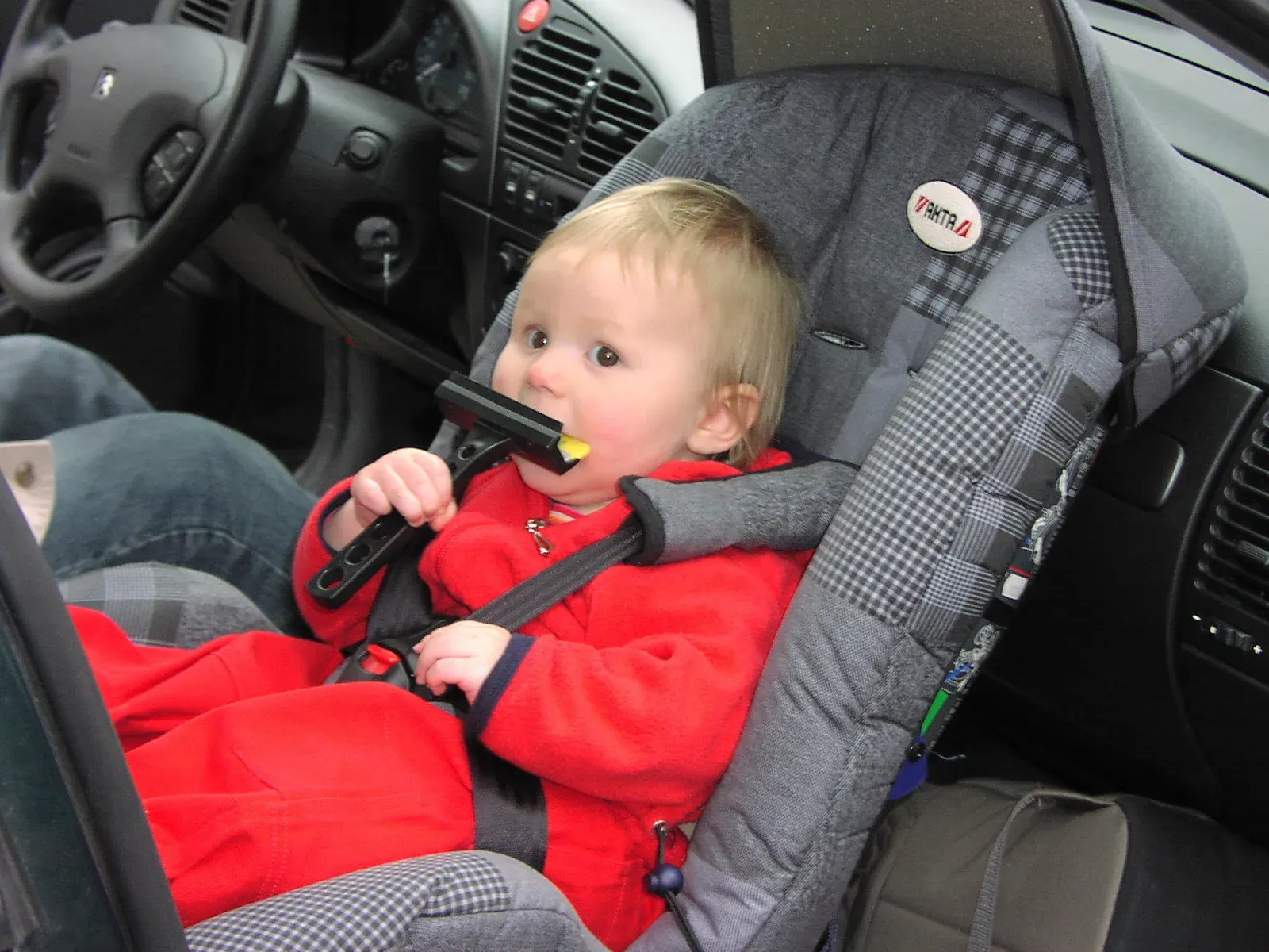 7. Child Restraint Laws Are Strict and Specific (Image Credits: Wikimedia)