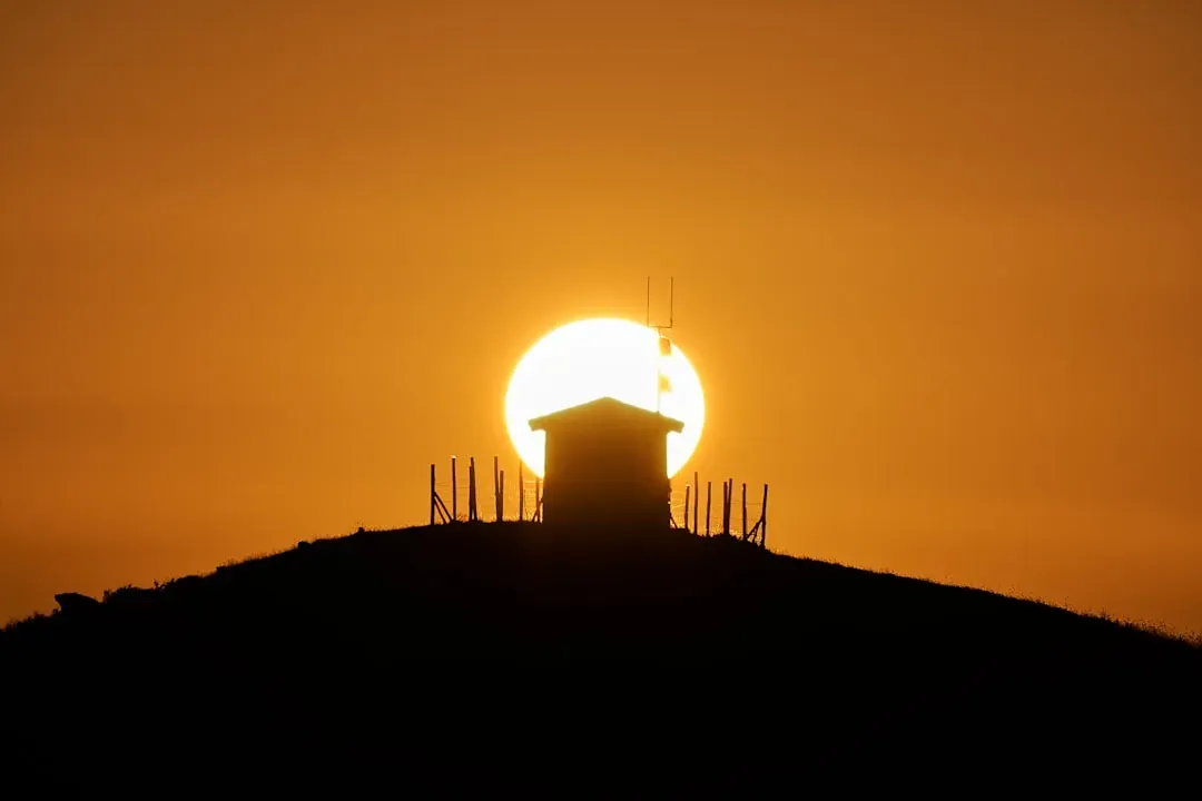 14. "The Sun Shone, Having No Alternative, on the Nothing New." - Samuel Beckett, Murphy (1938) (Image Credits: Unsplash)