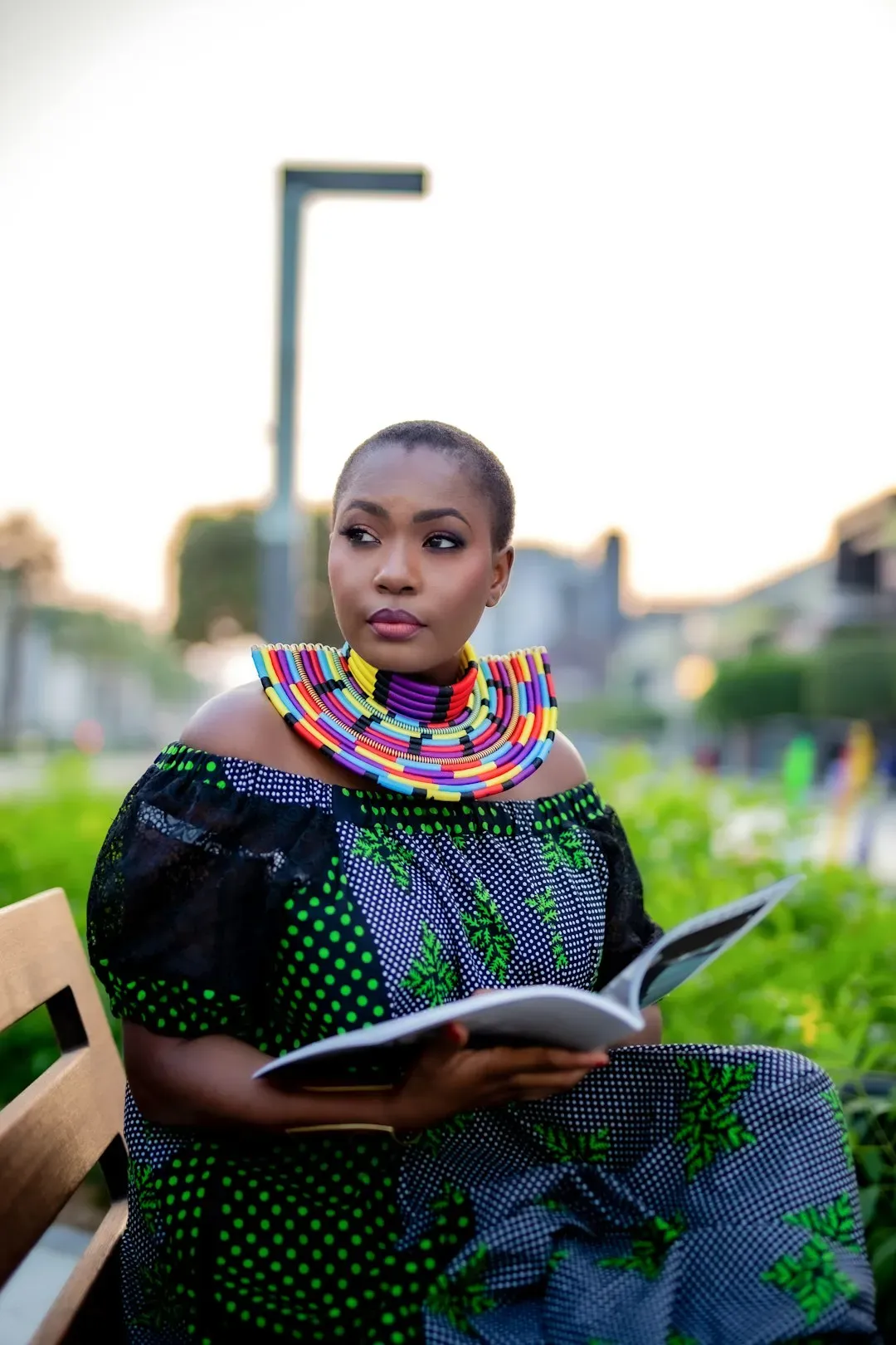 4. Dream Count - Chimamanda Ngozi Adichie (Nigeria/USA) (Image Credits: Unsplash)