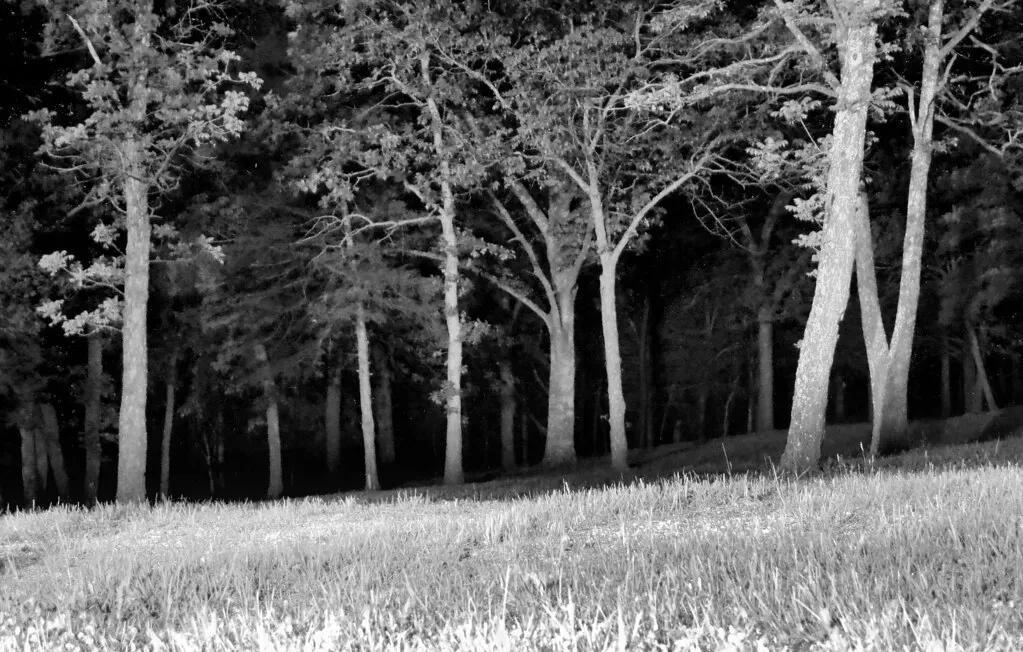 6. The Blair Witch Project (1999) (Jo Naylor, Flickr, CC BY 2.0)