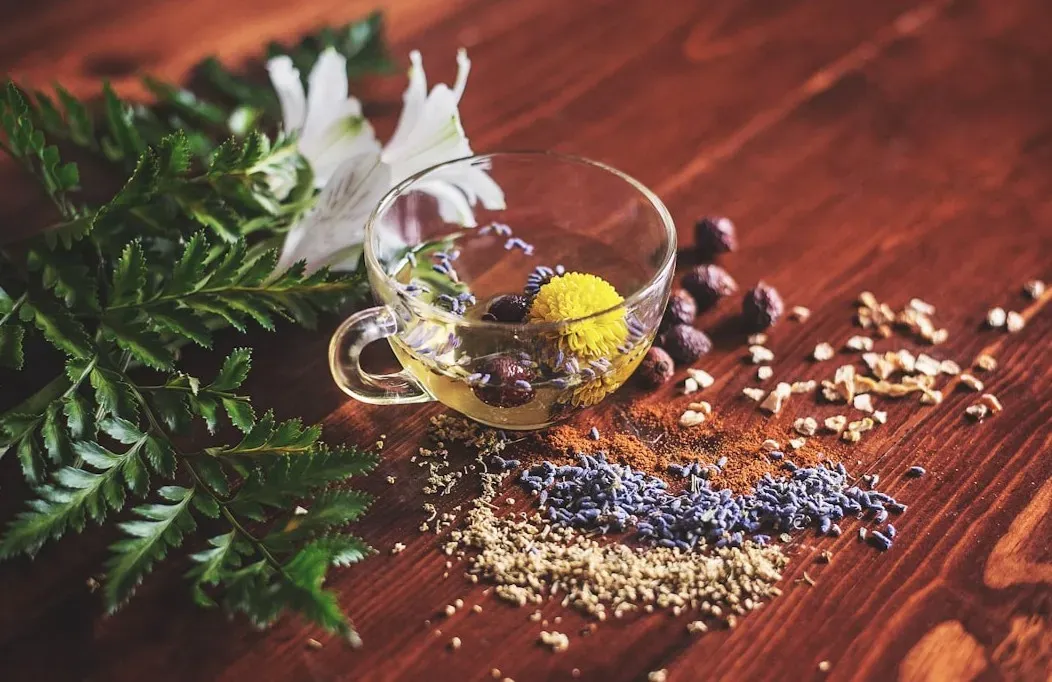 Ancient Herbal Medicine: The Pharmacy Hidden in the Forest (Image Credits: Unsplash)