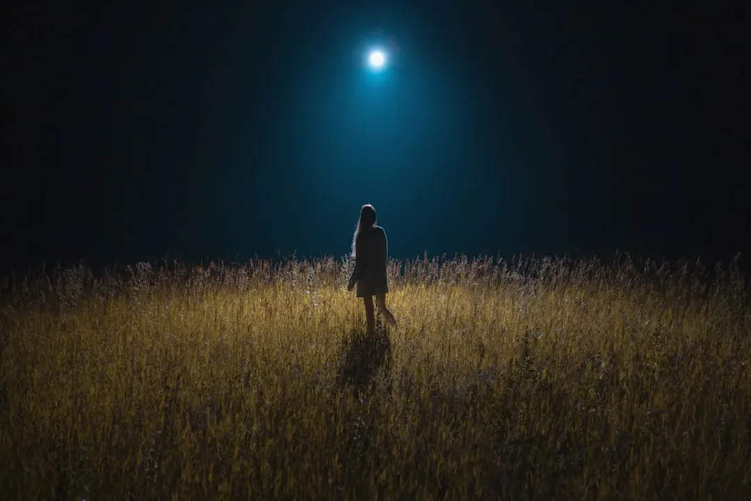 Moonlight (2016) - The Cheapest Best Picture Winner Ever Made (Image Credits: Unsplash)