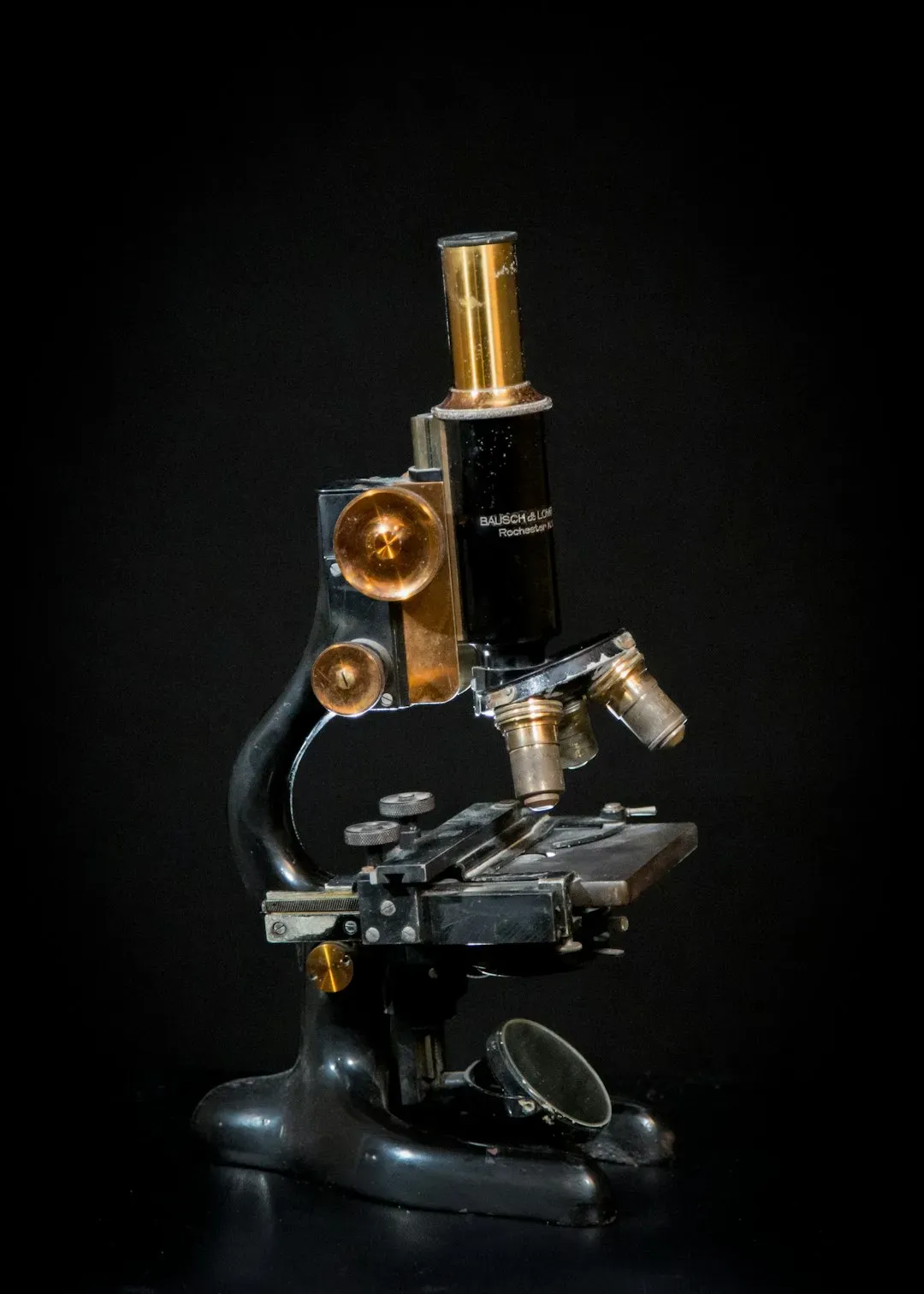 Microscopes: Tiny Worlds in Grand Frames (Image Credits: Unsplash)