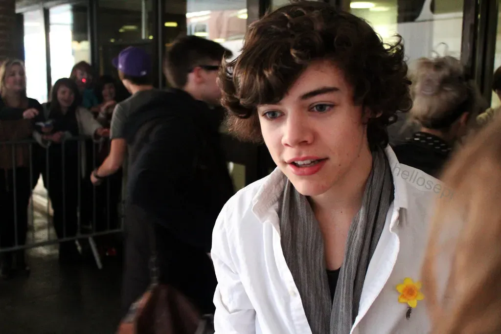 5. Shia LaBeouf replaced by Harry Styles in Don't Worry Darling (hellosepi, Flickr, CC BY 2.0)