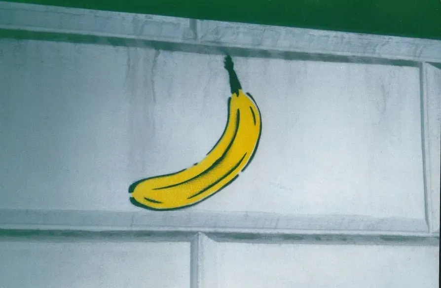 The Velvet Underground & Nico (1967) - The Velvet Underground (Image Credits: Pexels)