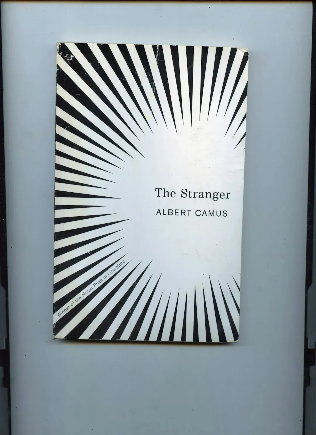The Stranger by Albert Camus (Image Credits: Unsplash)