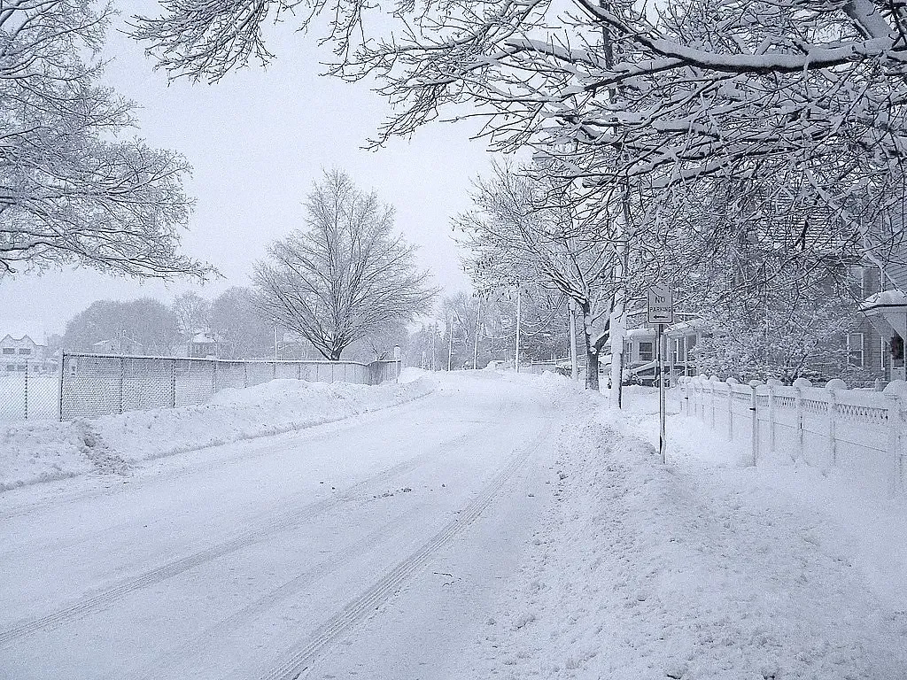 5. Fargo (1996) (Jauher Ali Nasir, Flickr, CC BY 2.0)