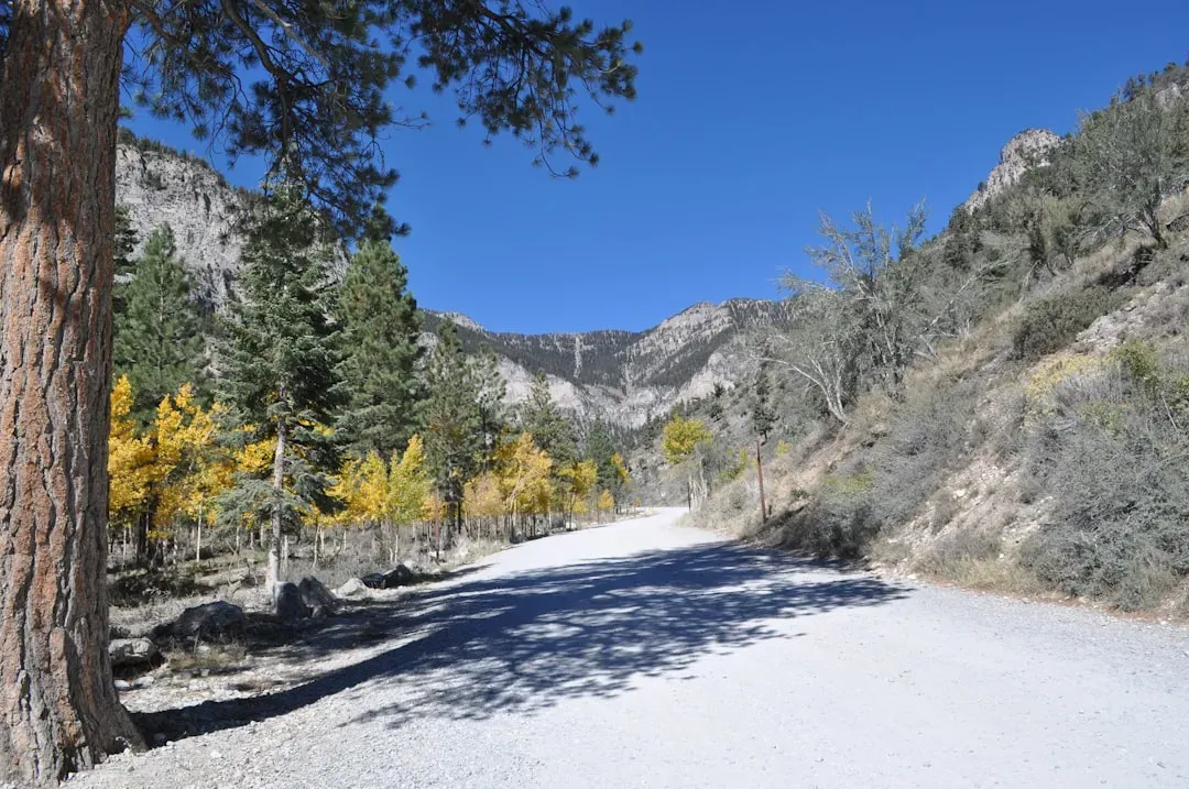 What Is Mt. Charleston, Exactly? (Image Credits: Unsplash)