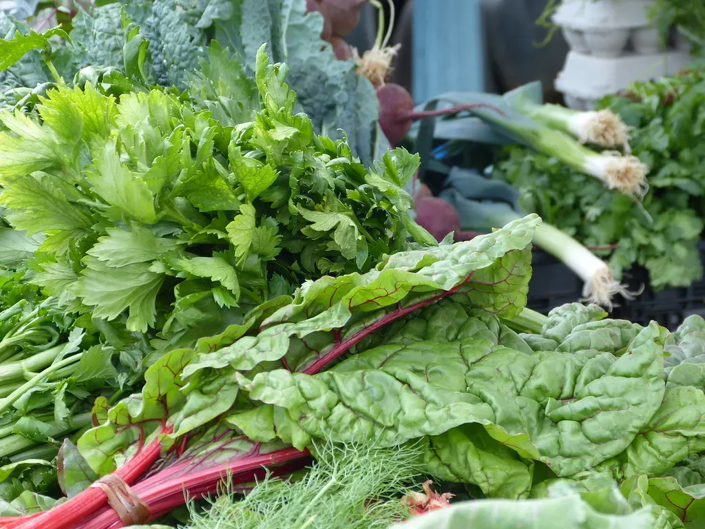 Leafy Greens: Nature's Multivitamins (Image Credits: Flickr)