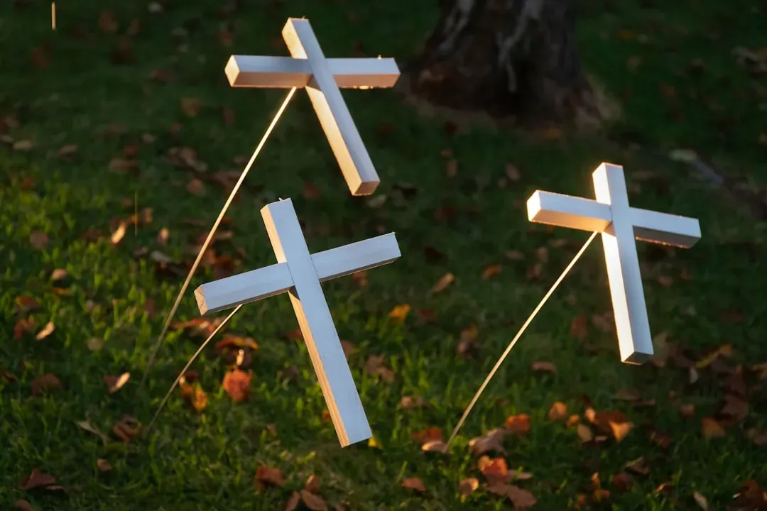 Metallica – Master of Puppets Graveyard of Crosses (Image Credits: Unsplash)