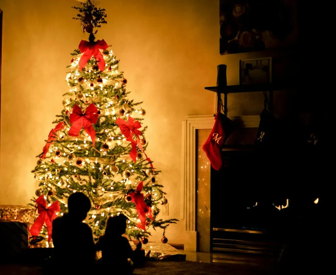 Silent Night (Image Credits: Unsplash)