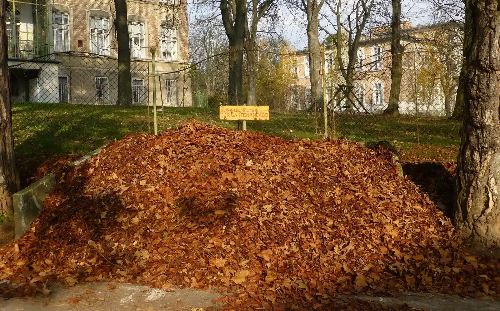 Raking and Jumping Into Leaf Piles (By Wald1siedel, CC BY-SA 3.0)