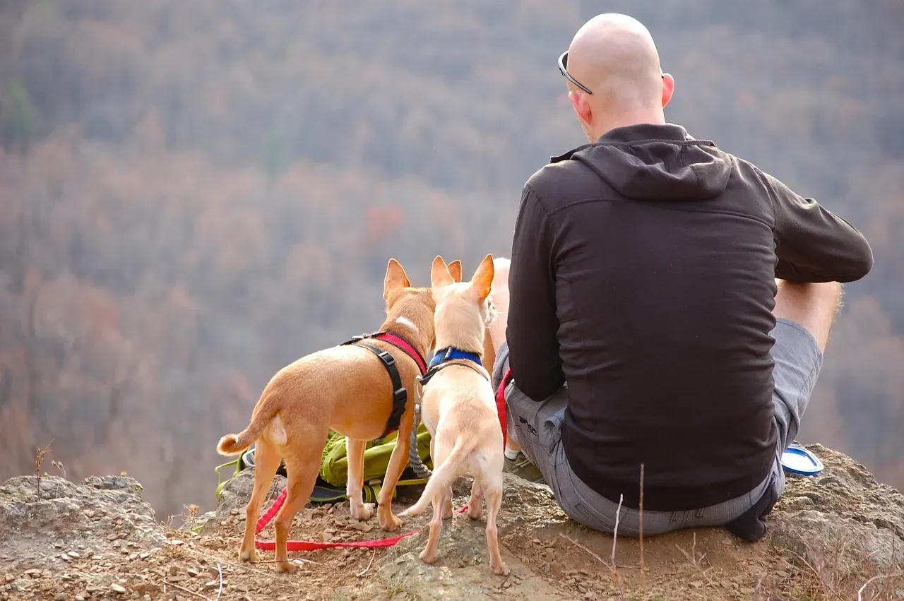 6. Mountain's Edge: A Planned Community That Actually Remembered the Dog (Image Credits: Pixabay)