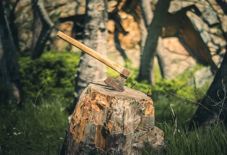 4. "Bury the Hatchet" (Image Credits: Pexels)