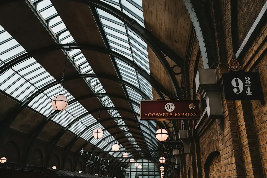 3. Harry Potter: The Franchise That Defined a Generation (Image Credits: Unsplash)