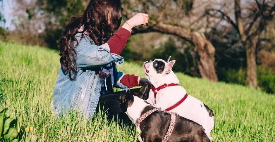 Sometimes It's About Attention, Not Just Love (Image Credits: Pexels)
