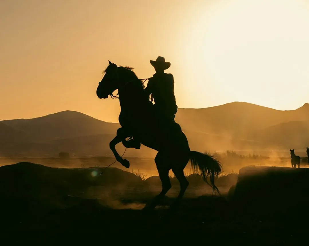 2. "I'm walking here!" – Midnight Cowboy (1969) (Image Credits: Unsplash)