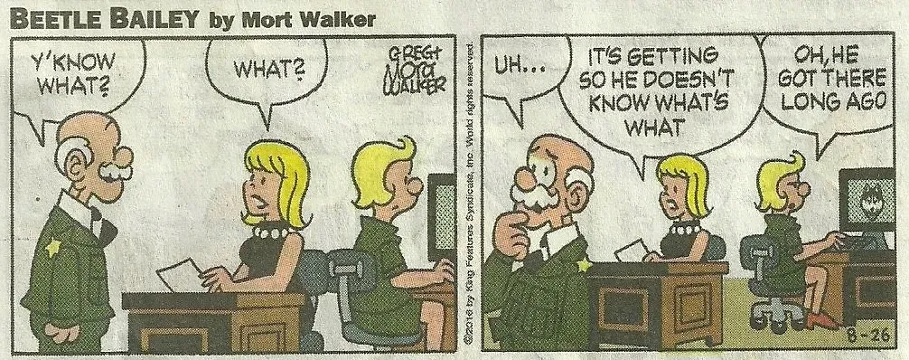 3. Beetle Bailey (nathanh100, Flickr, CC BY 2.0)