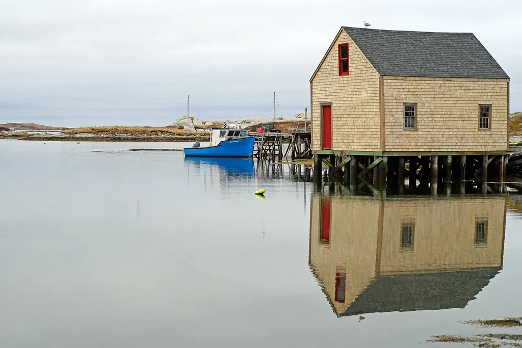 11. Still Life by Louise Penny (dgjarvis10@gmail.com, Flickr, CC BY-SA 2.0)