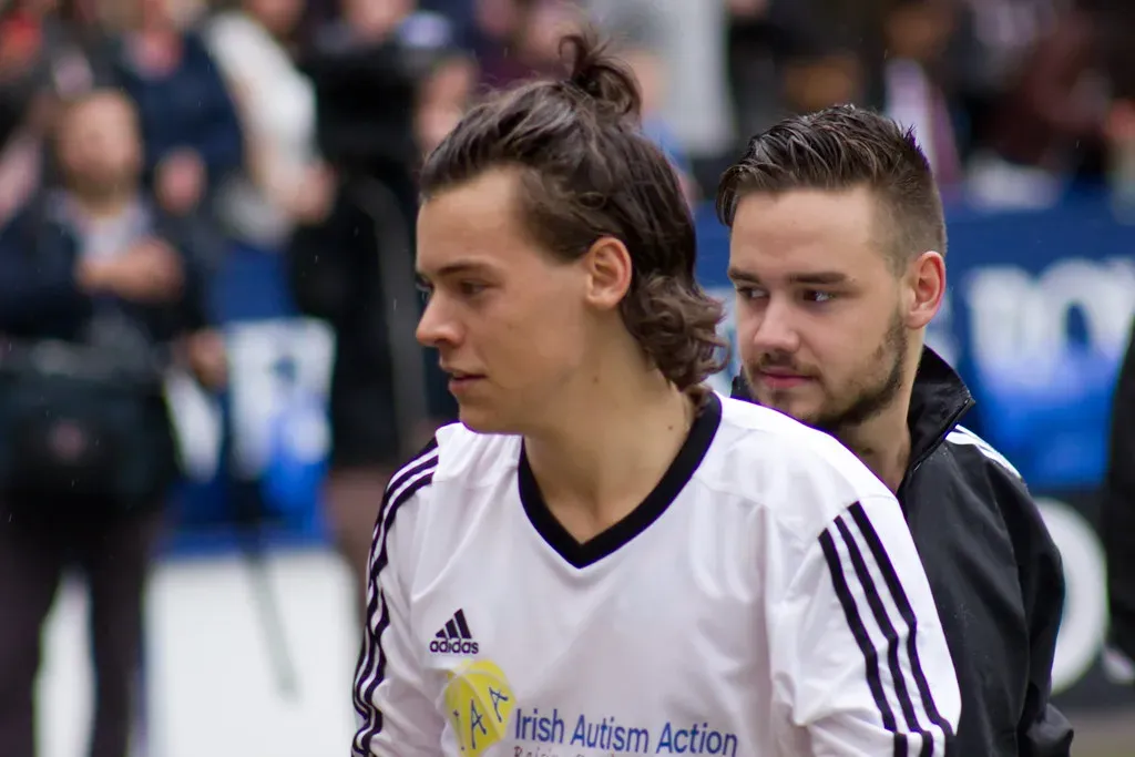 8. Harry Styles: The Butterfly That Started as a Movie Reference (vagueonthehow, Flickr, CC BY 2.0)