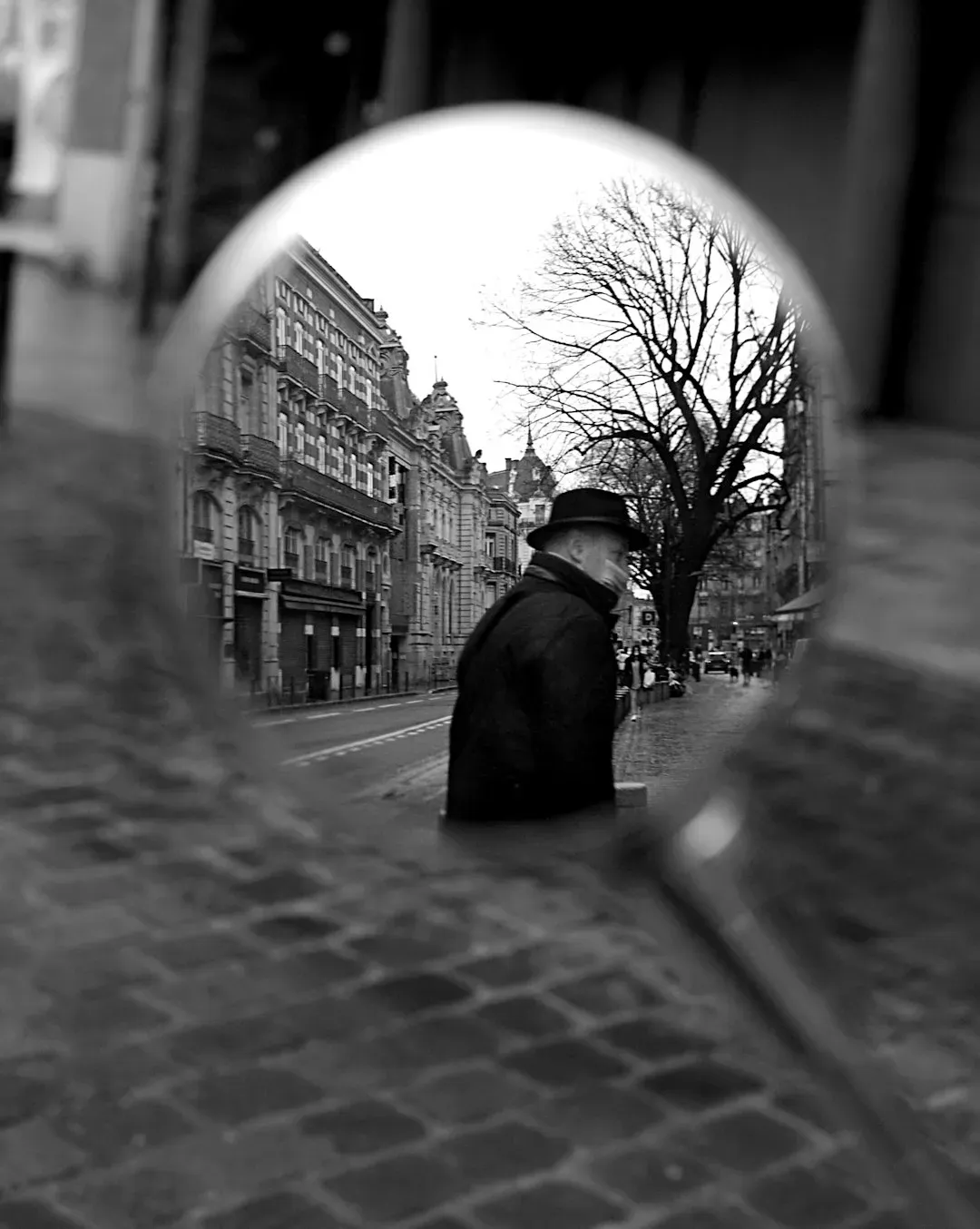 What Is History? by E.H. Carr - The Book That Made Historians Question Themselves (Image Credits: Unsplash)