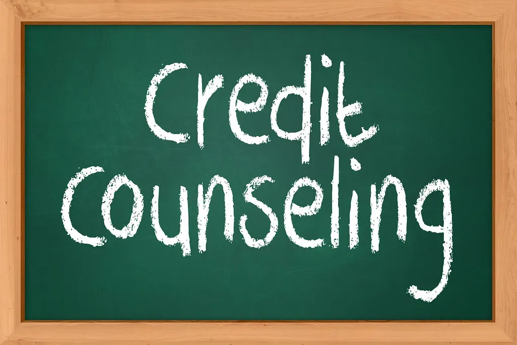 Strategy Four: Seeking Professional Credit Counseling and Negotiation (Image Credits: Flickr)