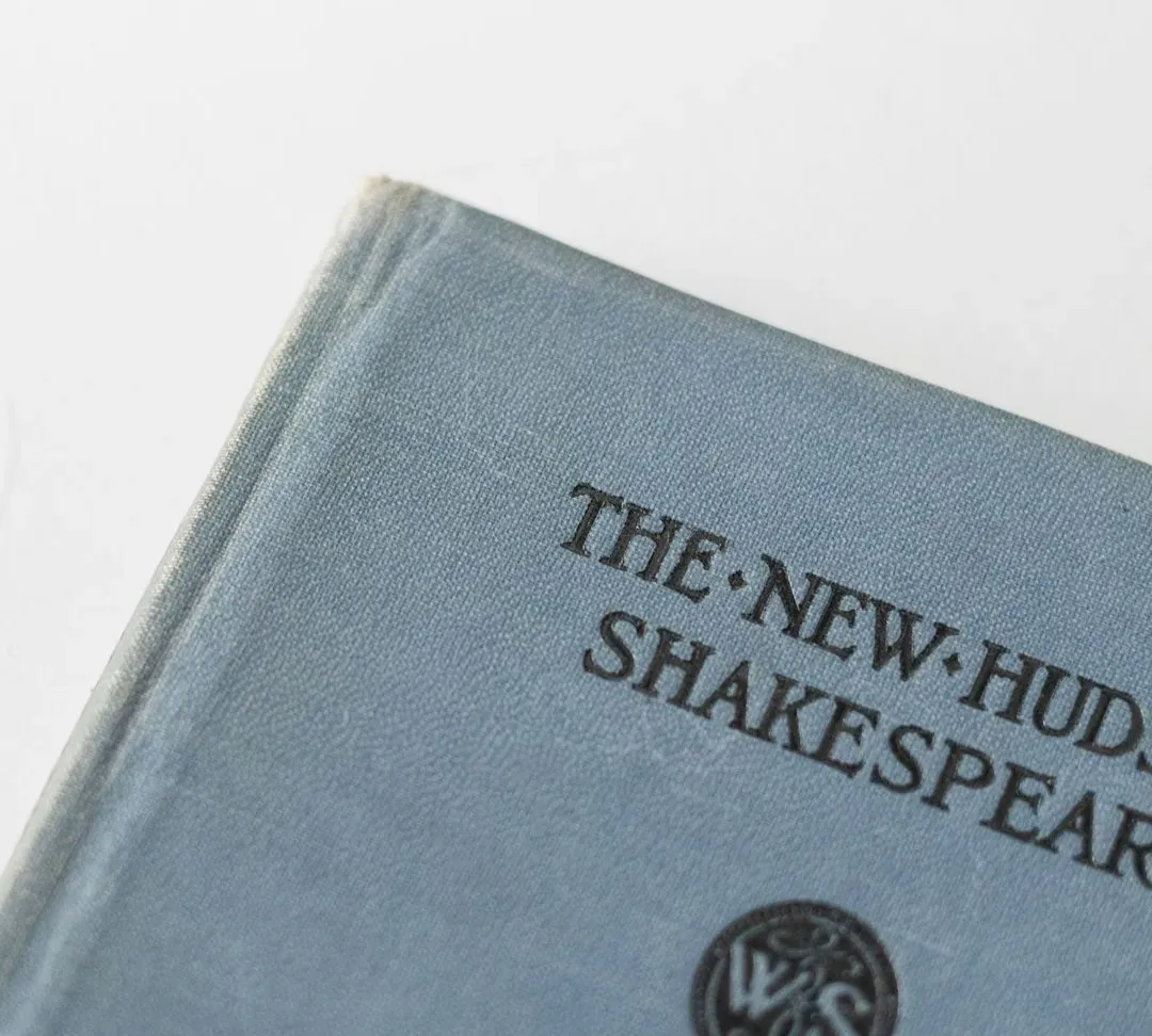 5. The Weight of Alternative Candidates and Serious Skeptics (Image Credits: Unsplash)