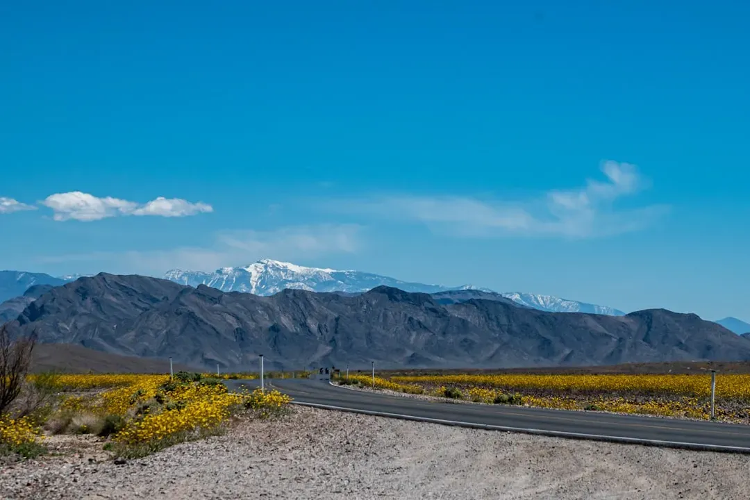 9. Lifestyle Infrastructure Reinforces Long-Term Value (Image Credits: Unsplash)