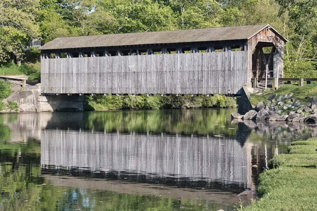 6. The Bridges of Madison County by Robert James Waller (Image Credits: Unsplash)