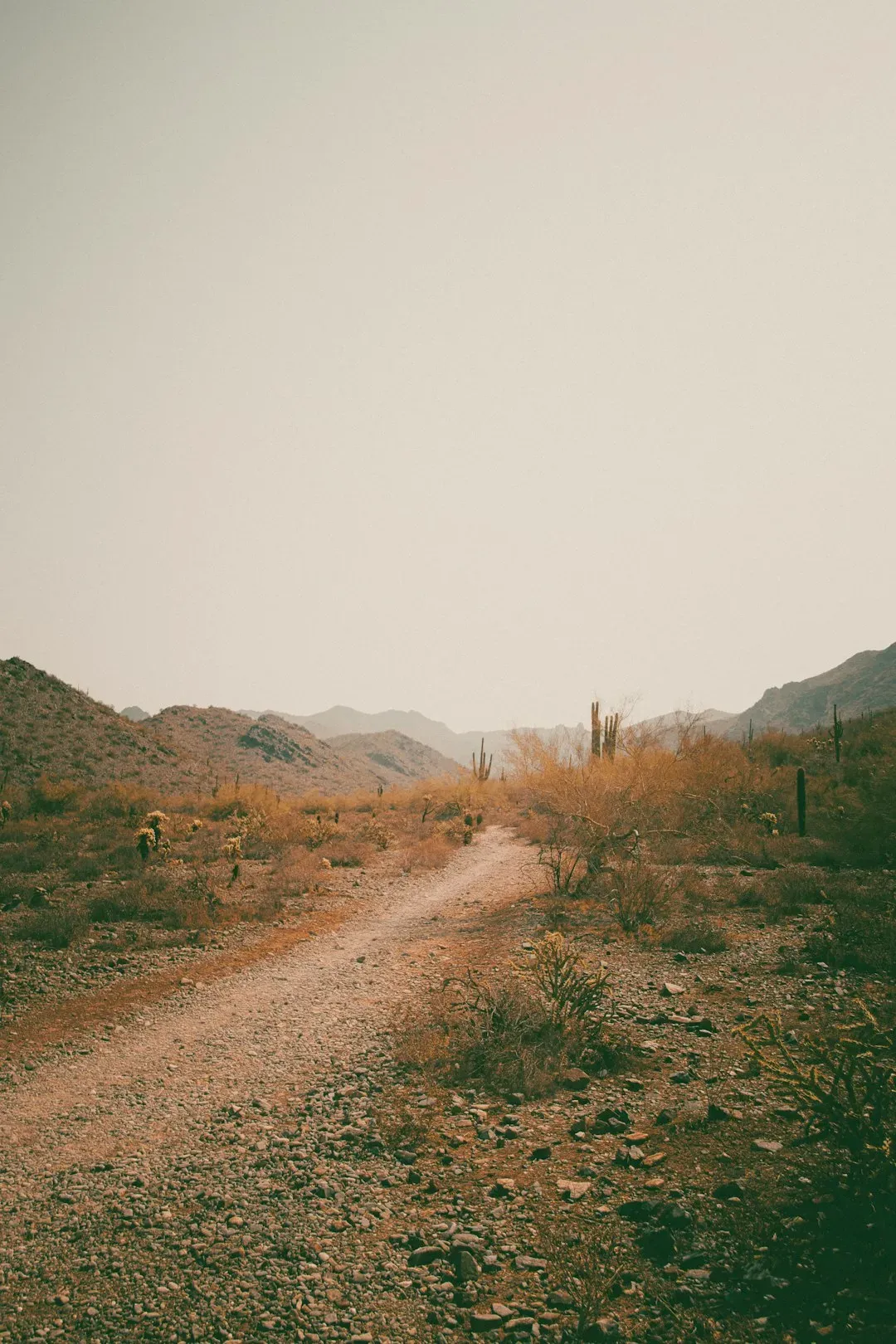 The Secret Is Out, Sort Of (Image Credits: Unsplash)