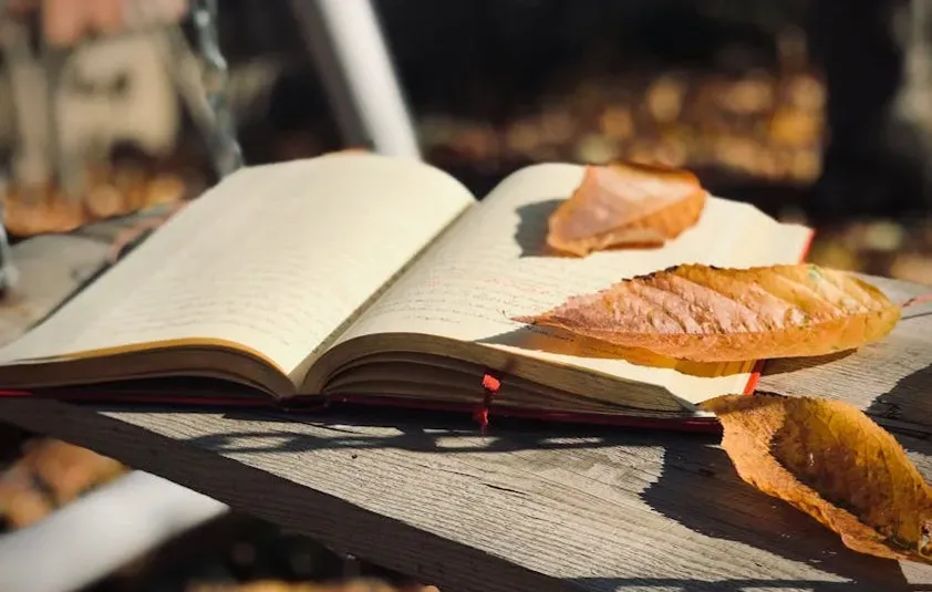 A Final Word on Why These Books Matter (Image Credits: Pexels)