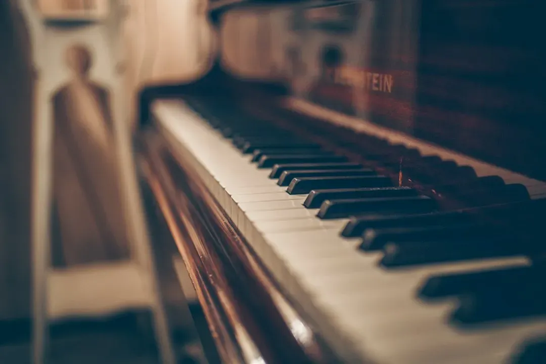 6. The Piano (1993) (Image Credits: Unsplash)