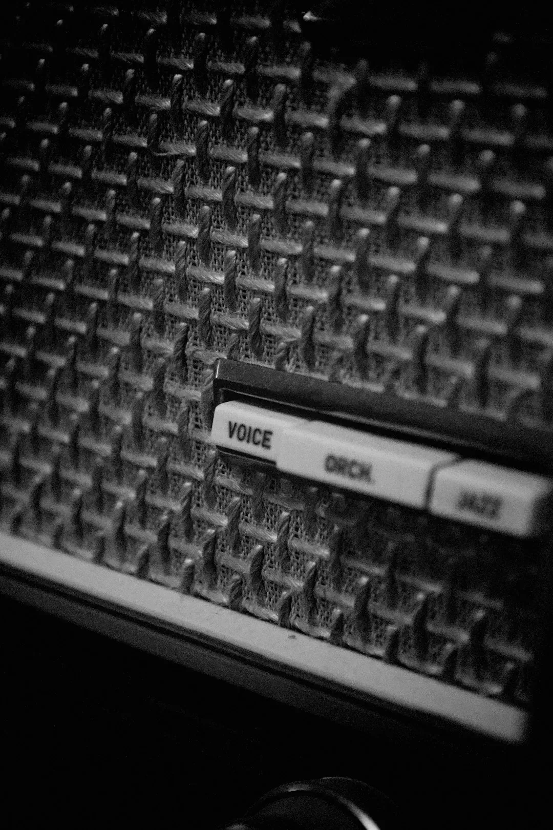 Timbre: The Color of a Voice (Image Credits: Unsplash)