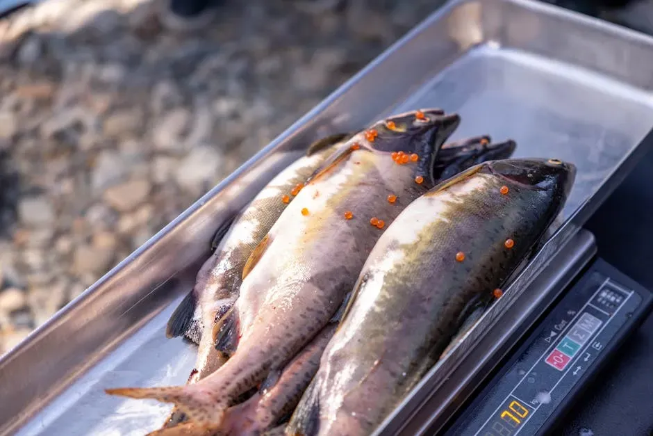 1. It's Illegal to Handle a Salmon 