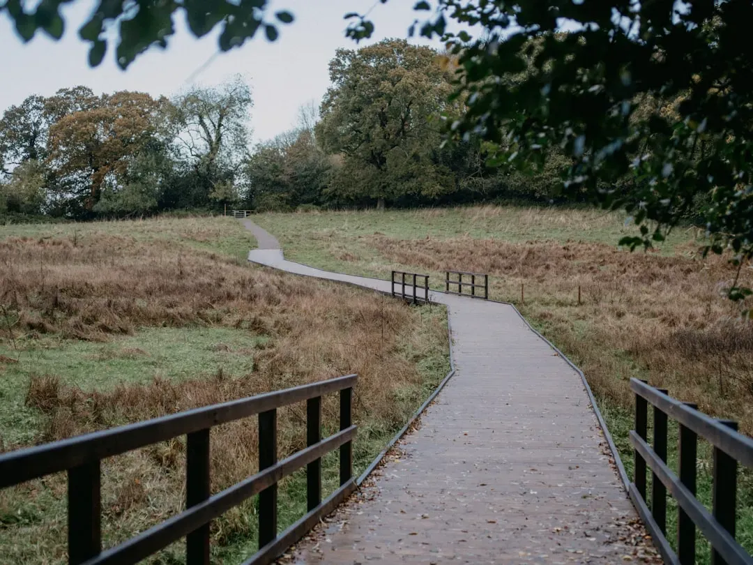 The Trails, Parks, and Outdoor Life Are Genuinely Extraordinary (Image Credits: Unsplash)