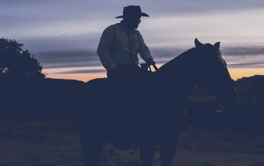 The Midnight Cowboy Line Nobody Scripted (Image Credits: Unsplash)