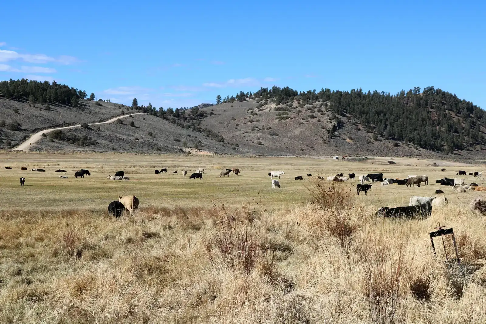 9. Ralph Lauren's working Colorado ranch (By Jeffrey Beall, CC BY 4.0)