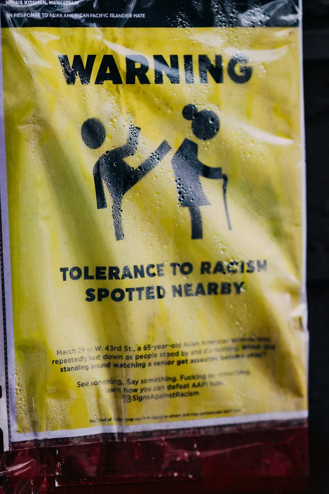 To Kill a Mockingbird: Fighting Racism While Being Called Racist (Image Credits: Unsplash)