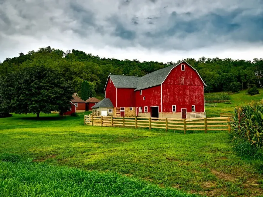 3. The Barn: The Secret History of a Murder in Mississippi - Wright Thompson (2024) (Image Credits: Pexels)