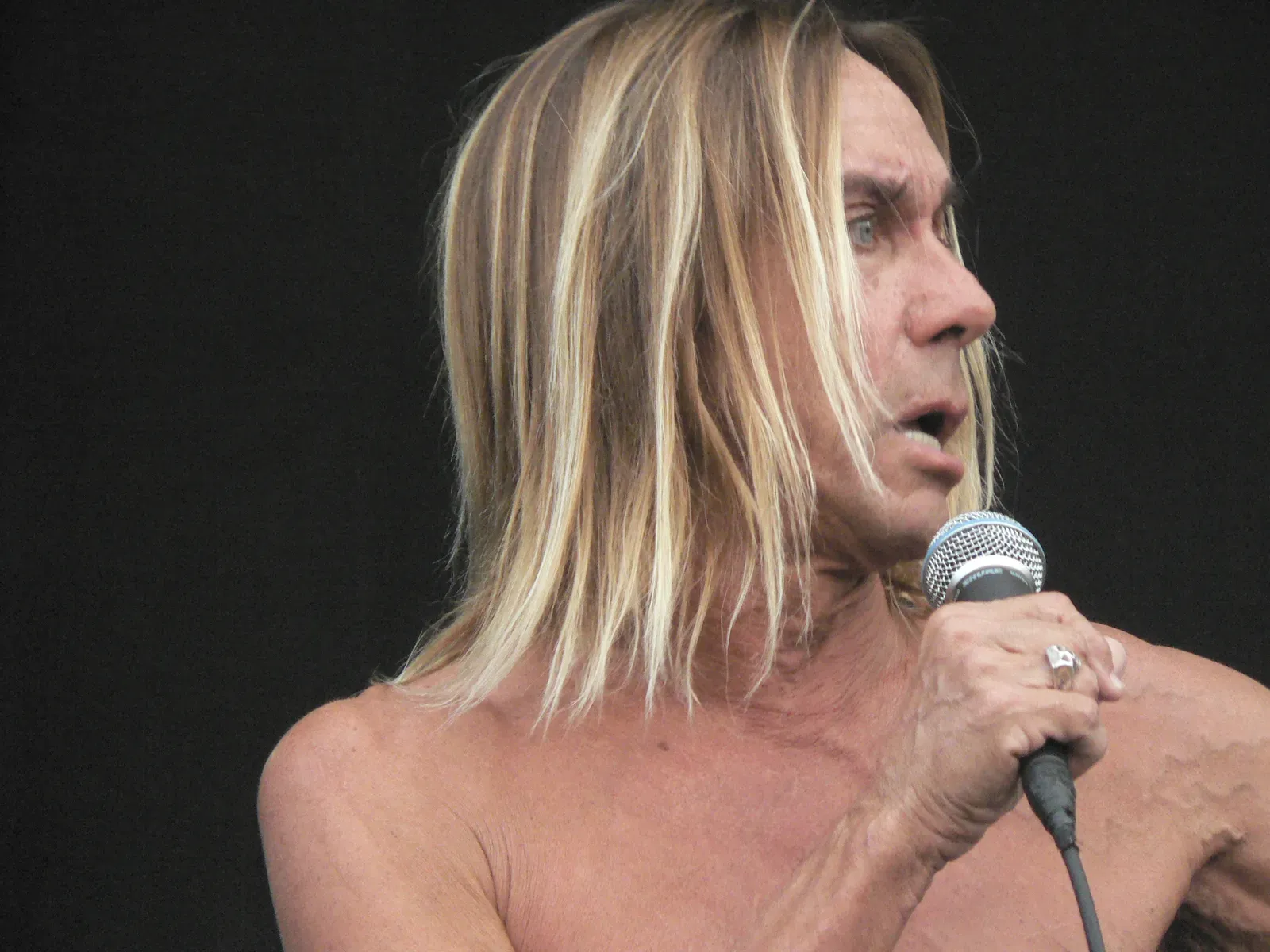 9. Iggy Pop - Wild, Raw, and Unfiltered (Image Credits: Wikimedia)