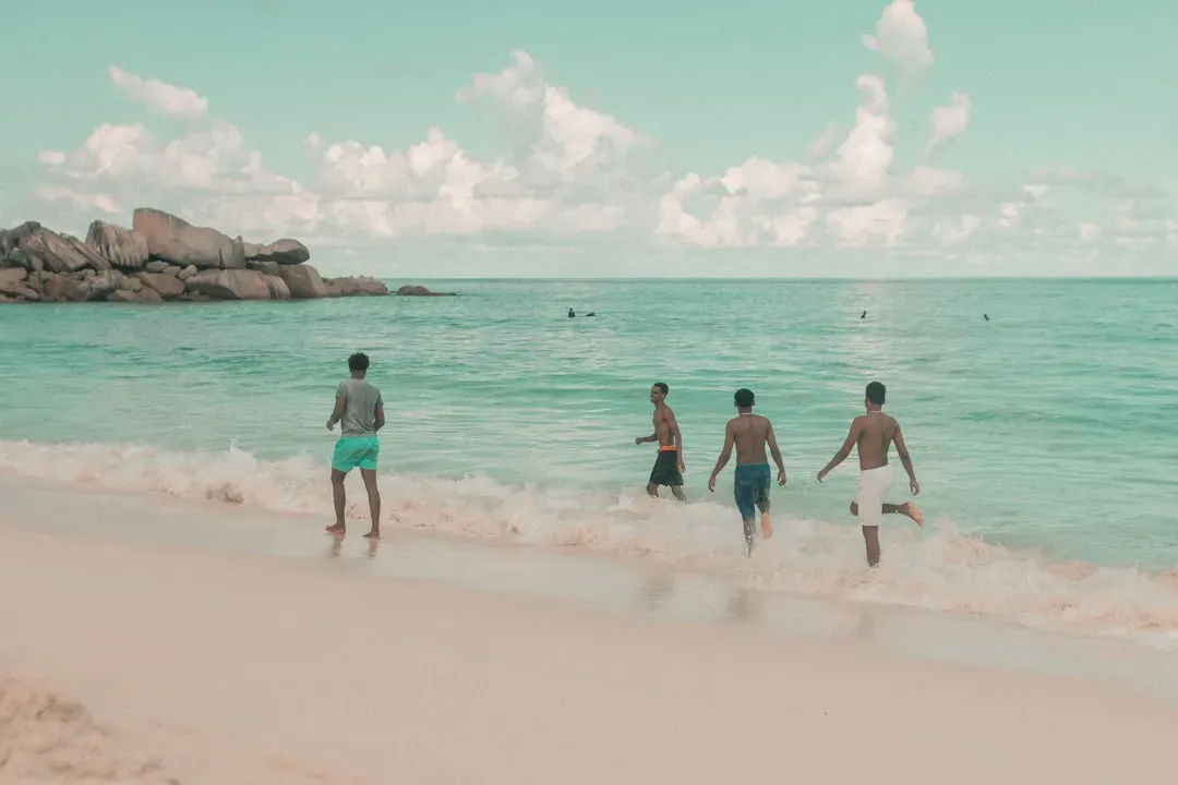 5. The Beach Boys – Pet Sounds (1966) (Image Credits: Unsplash)