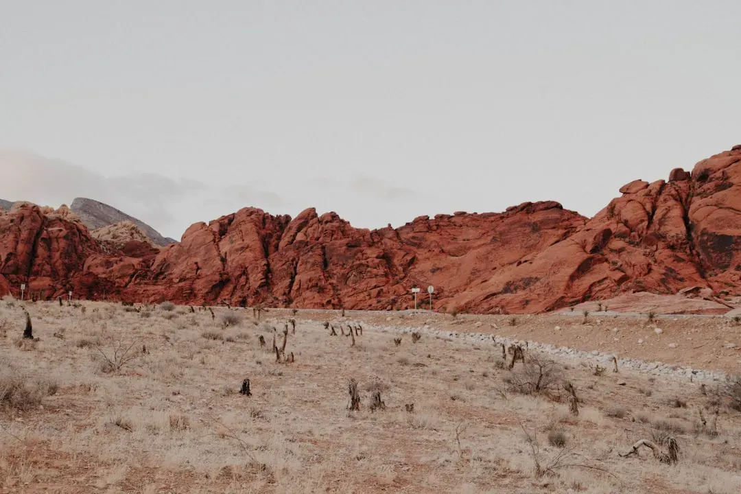 Outdoor Recreation: Red Rock vs. Lake Mead (Image Credits: Unsplash)