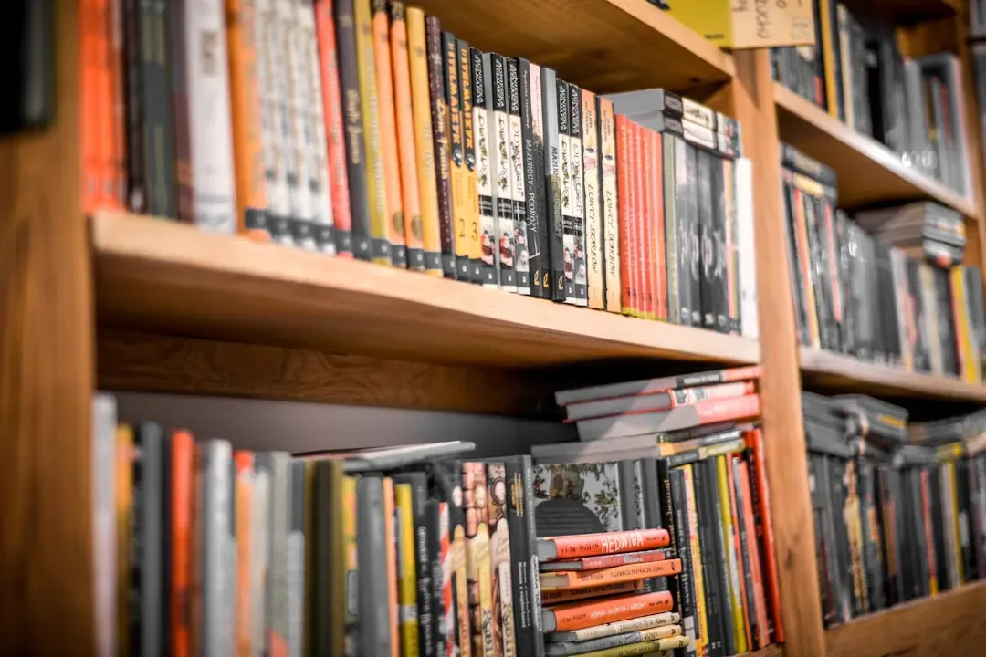 The Broader Lesson About Memory and Literature Education (Image Credits: Unsplash)