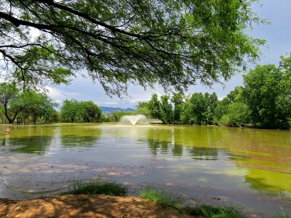When Monsoon Season Actually Hits (Chic Bee, Flickr, CC BY 2.0)