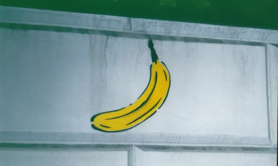 The Velvet Underground and Nico (1967) - The Album That Started a Thousand Bands (Image Credits: Pexels)