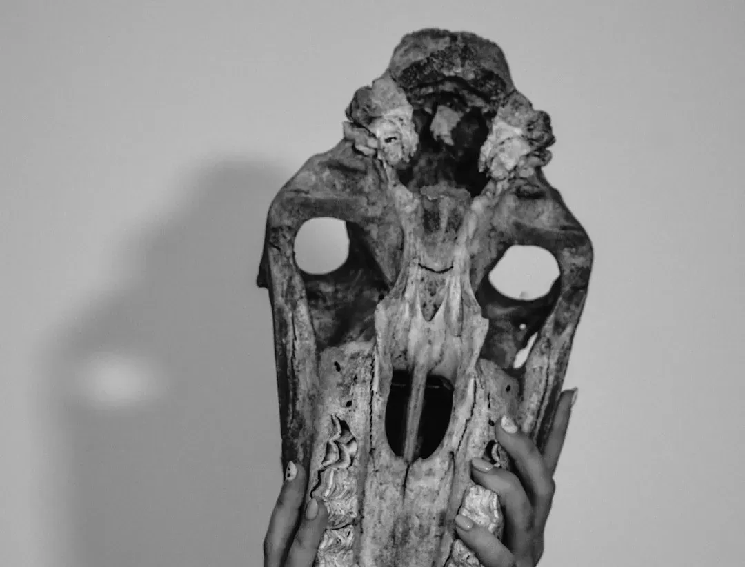 The 27 Club: Curse or Coincidence? (Image Credits: Unsplash)